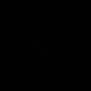 Meet your Posher, Catanya